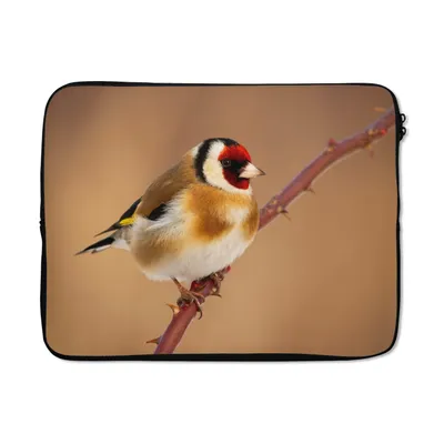 Produktbild von MuchoWow® Laptop Hülle 15 Zoll Kropftaube - Vogel - Tiere Laptoptasche - Laptoptasche - Sleeve - Rundum-Schutz