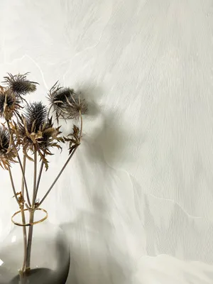 Produktbild von NEWROOM Tapete Petricca Weiß Vliestapete - Natur Blumen Blätter  Germany