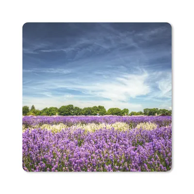 Produktbild von MuchoWow® Mauspad Mousepad Lila und weiß blühender Lavendel auf einem Feld 20x20 cm - Mousepads - Maus Mat - Pad - Mausunterlage - Desk Mat - Bureauartikeln
