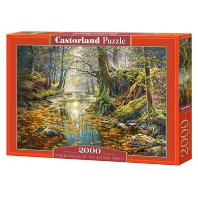 Immagine prodotto di Puzzle 2000 Ricordo di un bosco autunnale Castor