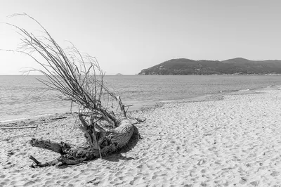 Produktbild von Muralo Fototapete Strand 315 (B) x 210 (H) cm Vlies Tapete Wandtapete Meer Sand Himmel Wohnzimmer Schlafzimmer moderne Wandbilder XXL Natur Panorama Wasser Wand Dekoration