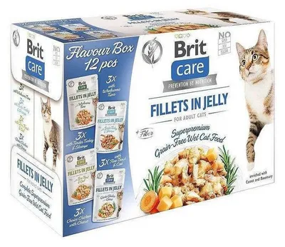 Produktbild von Brit Care Cat Adult Fillets in Jelly Katzenfutter 12x85g