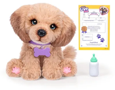 Obrázek produktu pro Moose Toys Little Live Pets - My Really Real Puppy Bailey, Pejskek, 4 rok/roky, Interaktivní, Zvuky, AA, Baterie