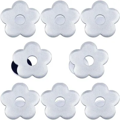 Image de Poids magnétiques en acier inoxydable, lot de 8, lourds, pour l'extérieur