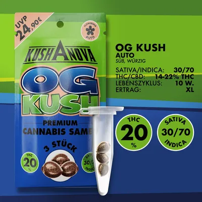 Produktbild von OG Kush Saatgut-Set mit 3 automatisch blühenden Samen für Sammlung und Züchtungsdokumentation