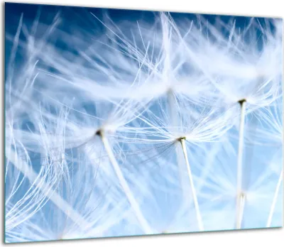 Produktbild von Herdabdeckplatten Glaskeramikkochfeld-Abdeckung Spritzschutz Glas 60x52cm Blumen