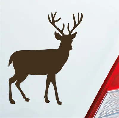 Produktbild von Auto Aufkleber Hirsch Reh Bock Deer Wild Jagd Wald Jäger KFZ Car 9,5x12 cm Braun Sticker Heckscheibenaufkleber