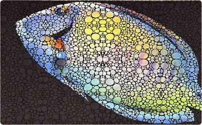 Produktbild von Flipper Aquariummatte Tang 75X45Cm