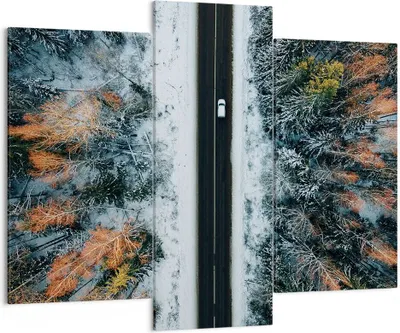 Produktbild von Bild auf Leinwand - Leinwandbild - 3 Teile - Wald Weg Schnee - 130x100cm - Wand Bild - Wanddeko - Wandbilder - Leinwanddruck - Bilder - Wanddekoration - Leinwand bilder - Wandbild - CB130x100-4654