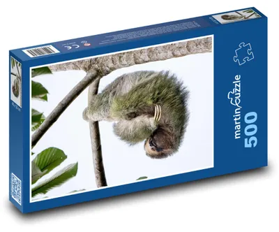 Zdjęcie produktu dla martinpuzzle - Puzzle 500 elementów - Lenochod