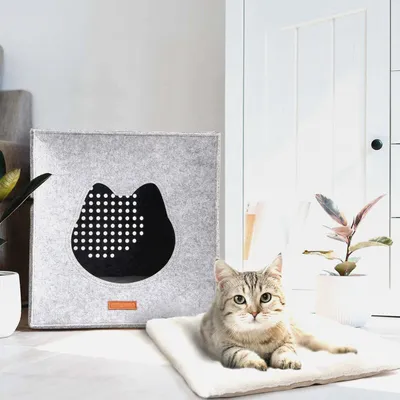 Produktbild von LuckySign Katzenhaus Indoor Katzenhöhle Kallax Regal Katzenkorb zum Schlafen Kallax Einsatz für Katzen mit Flauschig Katzenkissen, 33X33X37cm, Set 2er- Hellgrau