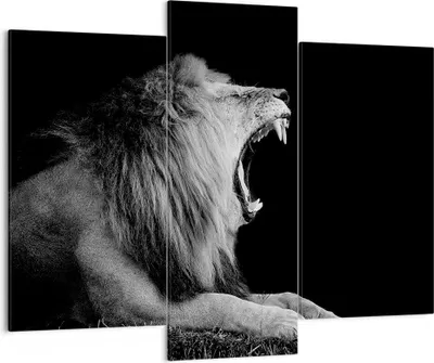 Produktbild von Bild auf Leinwand - Leinwandbild - 3 Teile - Löwe Gähnen Schwarz und Weiß - 130x100cm - Wand Bild - Wanddeko - Wandbilder - Leinwanddruck - Bilder - Wanddekoration - Leinwand bilder - CB130x100-4252