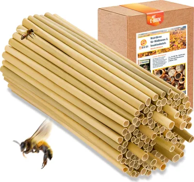Produktbild von BEESI 500x Bambusgras für Insektenhotel I 14 cm Länge I 3-7mm ⌀ I Füllmaterial Bienenhotel, Wildbienen Nistmaterial