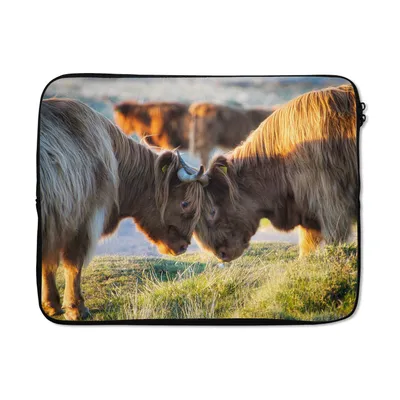 Produktbild von MuchoWow® Laptop Hülle 17 Zoll Laptoptasche Schottische Highlander - Tiere - Sonne - Zipper - Schutzabdeckung