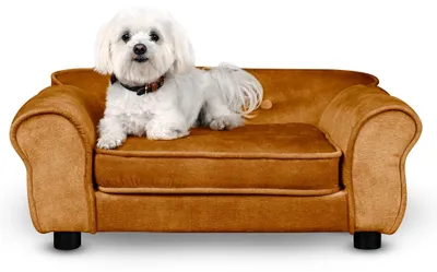Produktbild von MG Design Haustiersofa in Orange - stabiles Holzgestell, weich gepolstert, pflegeleicht - Hundesofa & Katzensofa, fertig montiert