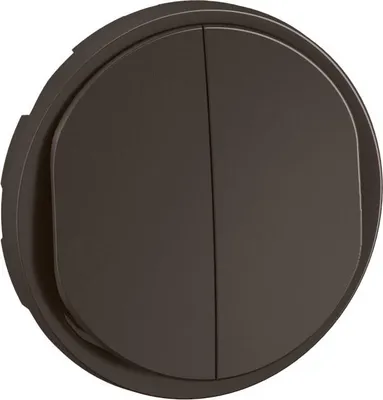 Image de Enjoliveur pour double interrupteur ou va-et-vient Céliane - Noir - LEGRAND - CN2001