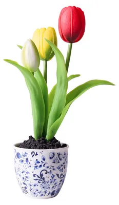 Obrázok produktu pre Heinen Delfts Blauw – Kvetináč s tulipánmi, modrá keramika