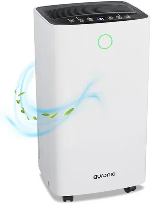 Image de Déshumidificateur de 12 litres par jour, compact, avec fonction de séchage et fonctionnement silencieux