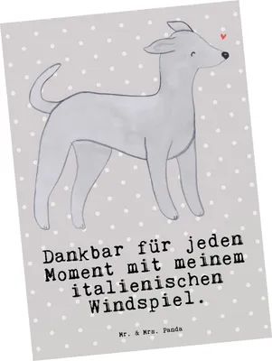 Produktbild von Mr. & Mrs. Panda Postkarte Italienisches Windspiel Moment - Grau Pastell - Geschenk, Ansichtskarte, Grußkarte, Italian Greyhound, bildkarte, Postkarten, Ansichtskarten