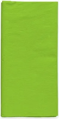 Produktbild von Papier Tischdecke hellgrün 120 x 180 cm Einwegtischdecke