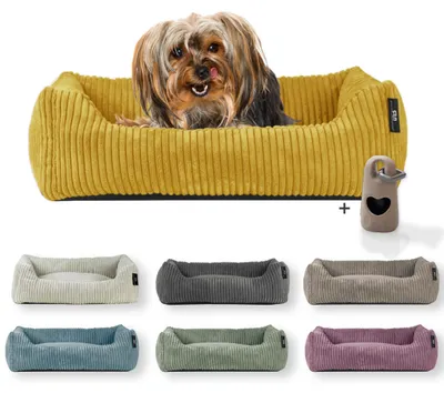 Produktbild von Rohrschneider Hundebett waschbar für kleine und mittelgroße Hunde mit Hundekissen Cord  inkl. Gassibeutel, Farbe:senf 55cm, Muster:Cordstoff breit