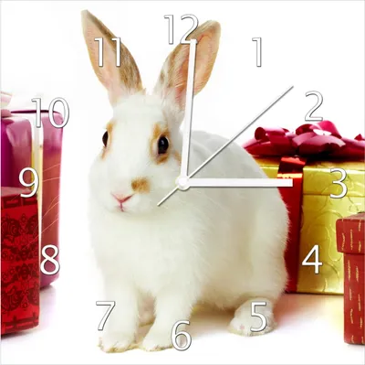 Produktbild von Wallario Design Wanduhr Süßes Kaninchen mit bunten Geschenken aus Echtglas, Größe 30 x 30 cm