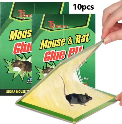 Produktbild von 10 Stück starkes Klebebrett Geeignet für Ratten und Mäuse Wanzenfallen (16.8cm*12cm)