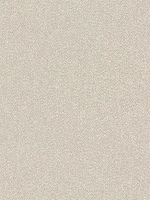 Obrázok produktu pre A.S. Creation | Attractive 2 | 390262 | netkaná tapeta | štruktúrovaná tapeta | 10,05 x 0,53 m | béžová | obývacia izba | hala | kancelária | kuchyňa | obývacie izby