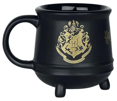 Imagen del producto de PYRAMID - Taza Caldero Hogwarts Harry Potter