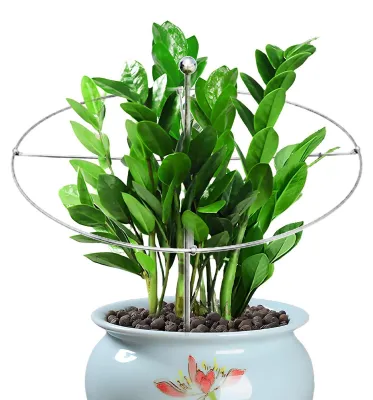 Image de Poteau de support métallique pour plantes, idéal pour une utilisation en jardin