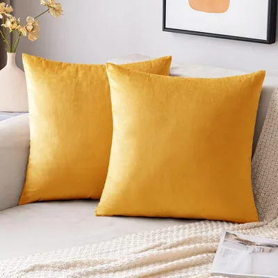 Productafbeelding van Kussenhoes, fluweel, sofa kussens, decoratieve kussens, 40 x 40 cm, 2 stuks, goudkleurig
