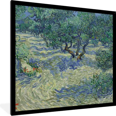 Produktbild von MuchoWow® Gerahmtes Poster Der Olivenhain - Vincent van Gogh 40x40 cm - Poster mit Schwarzem Bilderrahmen Wandposter Rahmen Foto Bilder - Mit Rahmen - Wanddekoration Schlafzimmer