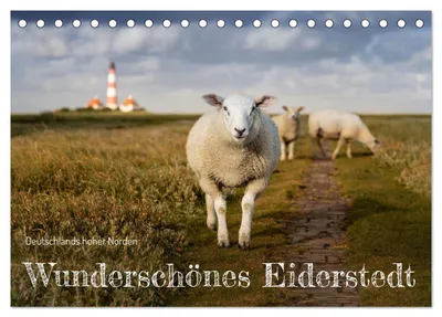 Produktbild von Wunderschönes Eiderstedt (Tischkalender 2027 DIN A5 quer), CALVENDO Monatskalender