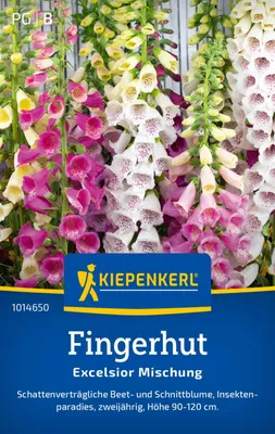 Produktbild von Kiepenkerl Fingerhutsamen Excelsior Digitalis purpurea 250 Pflanzen