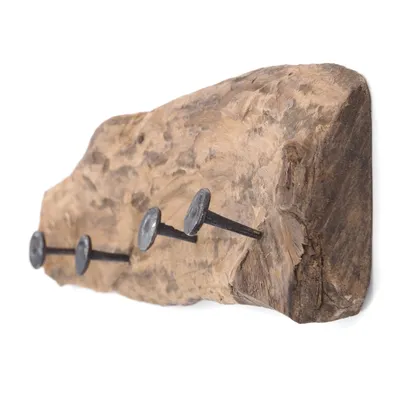 Produktbild von WANDGARDEROBE "TEAKROOTS 50" | Teakholzwurzel, 50x12cm(LxH)