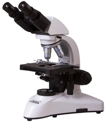 Produktbild von Levenhuk MED 25B Binocular Mikroskop 40 - 1000 fach, 20 W Halogenlampe, Hellfeld- und Dunkelfeldkondensor