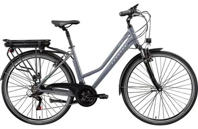 Produktbild von Zündapp Z802 E Bike Trekking 28 Zoll grau/grün
