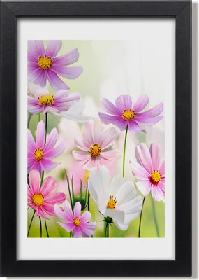 Produktbild von Bild 20x30 MDF-Rahmen, Wandkunst Wildblumen
