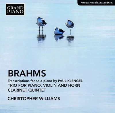 Obrázok produktu pre Johannes Brahms (1833-1897) - Transkriptionen für Klavier -   - (CD / T)