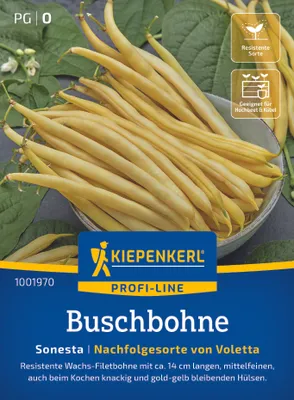 Produktbild von Kiepenkerl Buschbohnensamen Sonesta Phaseolus vulgaris nanus 8-10 lfd. Meter