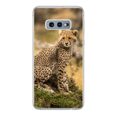 Produktbild von MuchoWow® Handyhülle Schutzhülle Hülle für Samsung Galaxy S10e Leopard - Wald - Tier Silikon Softcase Handy Hülle - Handy