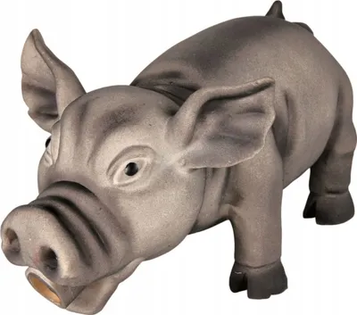 Image de Cochon en caoutchouc qui couine Jouets pour chiens Trixie