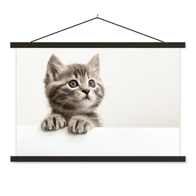 Produktbild von MuchoWow® Textilposter Katze - Grau - Tiere 120x80 cm mit schwarzem Rahmen - Wanddeko