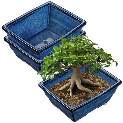 Zdjęcie produktu dla Zestaw 2 doniczek ceramicznych do bonsai z otworami drenażowymi