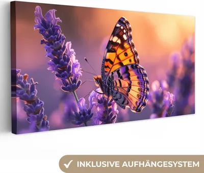 Produktbild von MuchoWow® - Leinwandbilder - Blumen - Schmetterling - Lavendel - Blume - Natur, Wandbild, Wanddeko Bilder Wohnzimmer, 40x20 cm