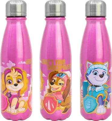 Produktbild von Paw Patrol Skye Everest Liberty ALU Wasserflasche Trinkflasche Flasche 600 ml
