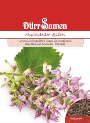 Artikelbild 1 von 'Muskateller-Salbei' aus der Kategorie Salbeisamen