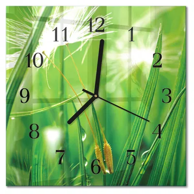 Immagine prodotto di Orologio da parete Tulup Glasuhr, orologio da cucina, vetro vero, 30x30 cm, design moderno e decorativo, silenzioso, con lancette nere - motivo: erba