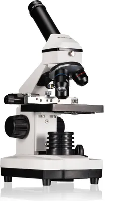 Image de BRESSER Microscope Biolux NV 20x-1280x avec Caméra HD USB