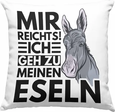 Produktbild von Trendation - Mir Reichts Ich Geh Zu Meinen Eseln Deko-Kissen mit Füllung 40x40 Geschenk Bauernhof Landwirt Eselflüsterer (Grau)